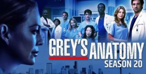 Anatomia Lui Grey Sezonul 20 Episodul 6